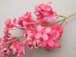 画像4: 【クリスマスセール2025対象外】アンティーク ライラックの布花 チェリーピンク (4)