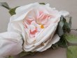 画像8: 【クリスマスセール2025対象外】1900年頃 アンティーク薔薇の大きな布花 パウダーピンク (8)