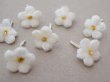画像2: アンティーク 勿忘草 ベルベットの布花  オフホワイト 7ピースのセット 15mm (2)