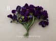 画像6: アンティーク 菫の布花 ベルベット 12輪のブーケ (6)