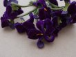 画像5: アンティーク 菫の布花 ベルベット 12輪のブーケ (5)