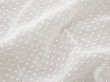 画像3: アンティーク  ドット刺繍入り コットンオーガンジー オフホワイト ファブリック 83×77cm (3)