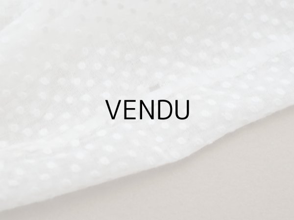 画像11: ＊蚤の市＊1900年頃 アンティーク ベビー用 ブラウスドット刺繍のコットンファブリック  (11)