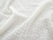 画像1: アンティーク  ドット刺繍入り コットンオーガンジー オフホワイト ファブリック テーブルクロス (1)