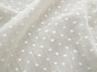 画像2: アンティーク  ドット刺繍入り コットンオーガンジー オフホワイト ファブリック テーブルクロス (2)