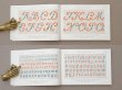 画像6: アンティーク DMC 刺繍図案帳 ALPHABET DE LA BRODEUSE - BIBLIOTHEQUE D.M.C - (6)