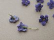 画像4: アンティーク 勿忘草の小さな布花 青紫 9ピースのセット 約13mm (4)