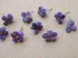 画像3: アンティーク 勿忘草の小さな布花 ラヴェンダー色 9ピースのセット 約13mm (3)