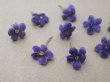 画像2: アンティーク 勿忘草の小さな布花 青紫 9ピースのセット 約13mm (2)