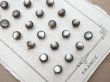 画像10: アンティーク マザーオブパール製 極小 ボタン 5mm 24ピース シェルボタン グレー (10)