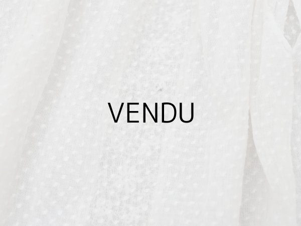 画像7: ＊蚤の市＊1900年頃 アンティーク ベビー用 ドレスドット刺繍のコットンファブリック  (7)