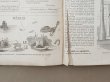 画像21: ＊蚤の市＊1878年 アンティーク 本 モード新聞 1年分 ファッションプレートブック LA MODE ILLUSTREE (21)