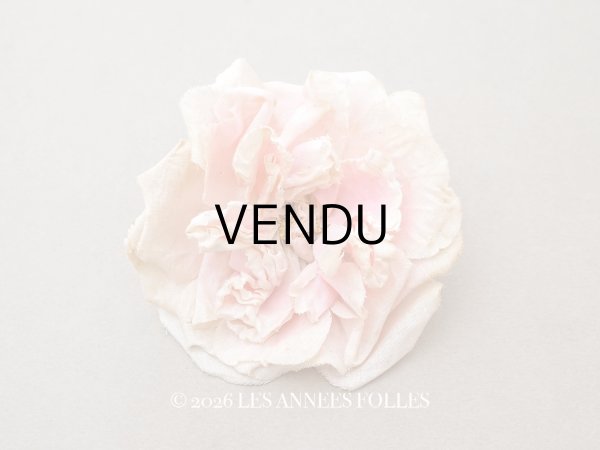 画像1: 1900年頃 アンティーク薔薇の布花 パウダーピンク クウォーターロゼット咲き (1)