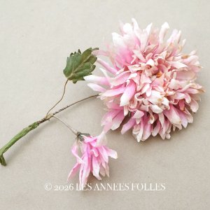 画像:  アンティーク 布花 西洋菊 クリザンテーム ピンク