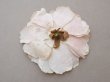 画像4: 1900年頃 アンティーク薔薇の大きな布花 パウダーピンク クウォーターロゼット咲き (4)