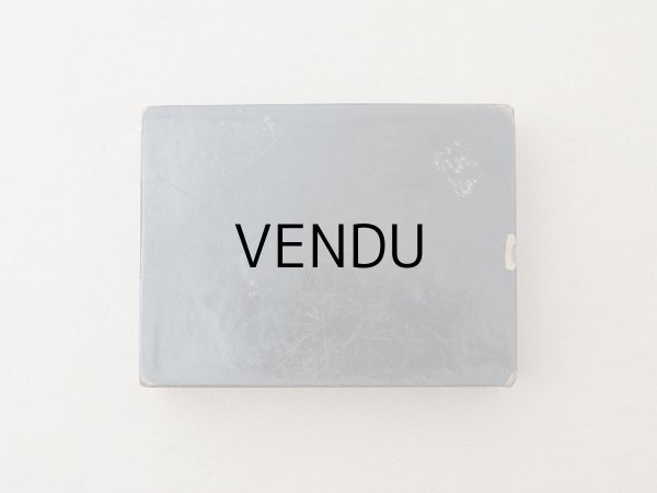 画像4: 19世紀 アンティーク ナポレオン3世時代 パピエマシェ トレイ 星柄 スクエア (4)