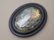 画像2: 19世紀 アンティーク ルリケール 大きなガラスドーム 遺物 44.6×35cm (2)