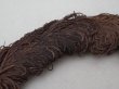 画像3: ＊蚤の市＊アンティーク  帽子用 フェザー チョコレートブラウン 羽飾り  (3)