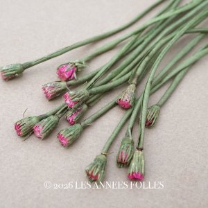 画像: アンティーク 布花 デイジーの蕾