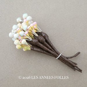 画像: アンティーク ペップ 花芯 パステルカラー