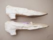 画像4: ＊蚤の市＊1900年頃 アンティーク ウェディングシューズ アイボリーのシルクサテン  (4)