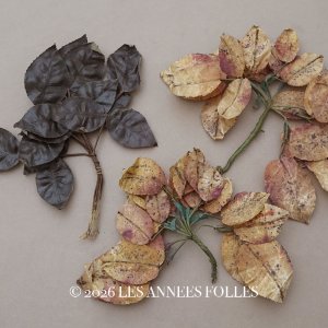 画像: ＊蚤の市セット＊ アンティーク 1900年頃 大きなリーフのセット　