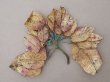 画像3: ＊蚤の市セット＊ アンティーク 1900年頃 大きなリーフのセット　 (3)