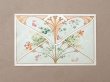 画像3: アンティーク パウダーサシェの紙袋 SACHET PARFUME AUX FLEURS - HUGUES FILS & CIE - (3)