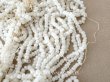 画像1: アンティーク シードビーズ パール加工 ガラスビーズ 1cm=5.5粒 70g (1)