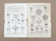 画像4: 【16周年セール対象外】1911年 アンティーク ボンマルシェ ジュエリーのカタログ Bijouterie - AU BON MARCHE - (4)