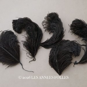 画像: *蚤の市セット* 1900年頃 アンティーク フェザー 黒 5点セット