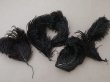 画像5: ＊蚤の市セット＊ 1900年頃 アンティーク フェザー 黒 5点セット (5)
