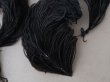 画像4: ＊蚤の市セット＊ 1900年頃 アンティーク フェザー 黒 5点セット (4)