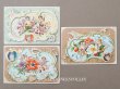 画像1: ＊蚤の市セット＊ アンティーク LIEBIG クロモ 3点セット (1)