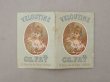 画像3: 1890年頃 アンティーク カルネ PAPIER D'ARABIE  VELOUTINE - CH.FAY PARIS  - (3)