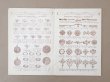 画像5: アンティーク プランタン百貨店のカタログ 全44ページ ジュエリー＆金銀細工品＆時計 - GRANDES MAGASINS DU PRINTEMPS PARIS - (5)