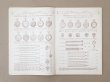 画像7: アンティーク プランタン百貨店のカタログ 全44ページ ジュエリー＆金銀細工品＆時計 - GRANDES MAGASINS DU PRINTEMPS PARIS - (7)