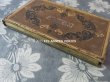 画像7: 19世紀 アンティーク 本型(アルバム型) チョコレートの紙箱 ALBUM (7)