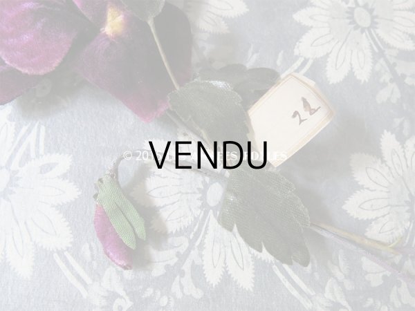 画像4: 1900年代 アンティーク コサージュ ラベル付 パンジー (4)