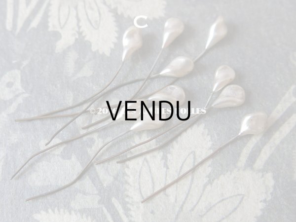 画像5: アンティーク パールのティージュ 10点セット (5)