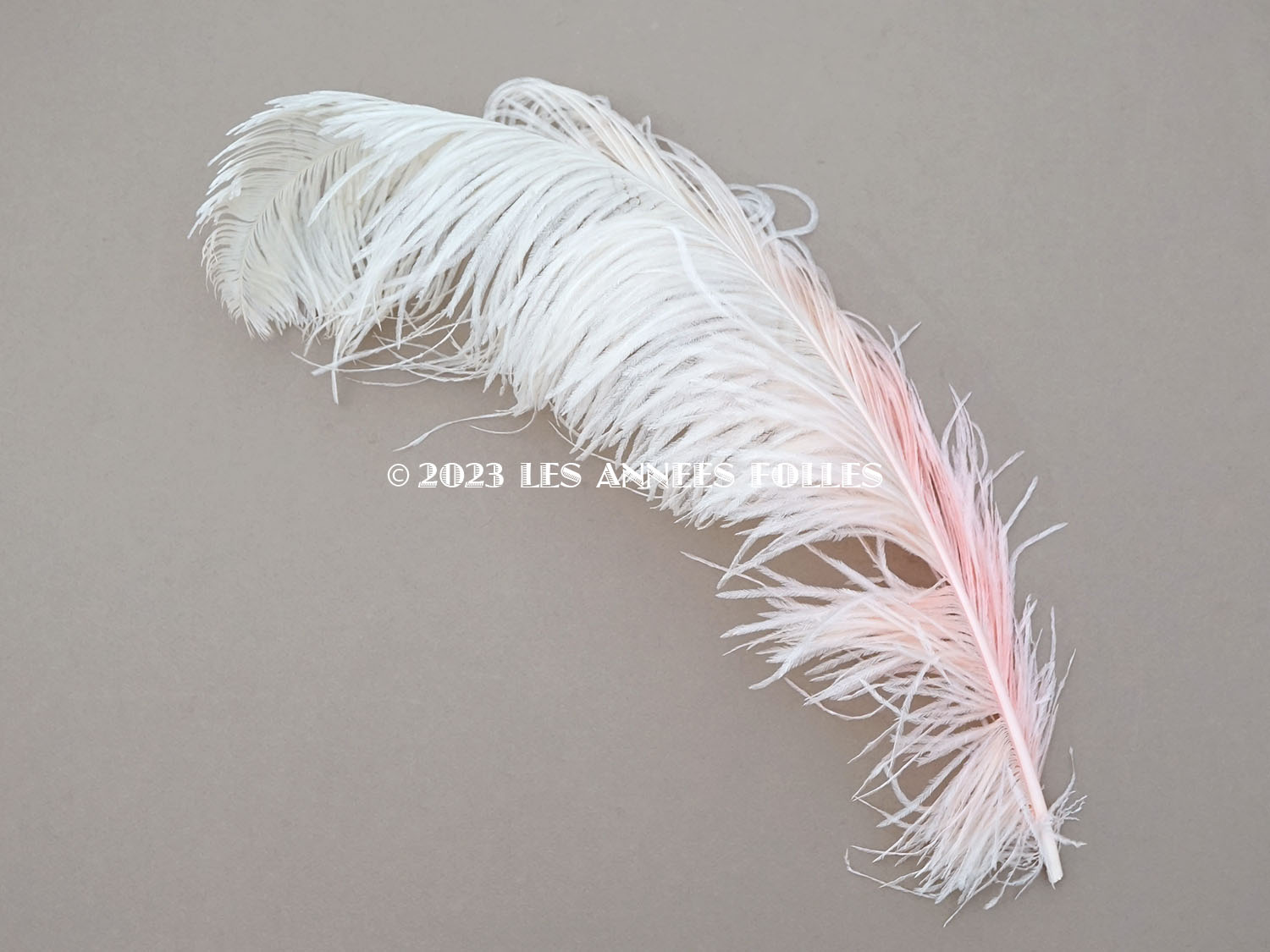 画像2: 19世紀末 アンティーク 大きなフェザー ピンク＆ホワイトのグラデーション 羽飾り  (2)