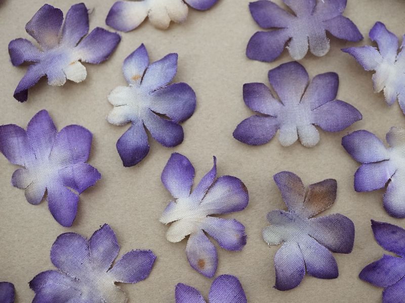 画像3: ＊蚤の市セット＊ アンティーク 菫の花びら 100ピースのセット　 (3)