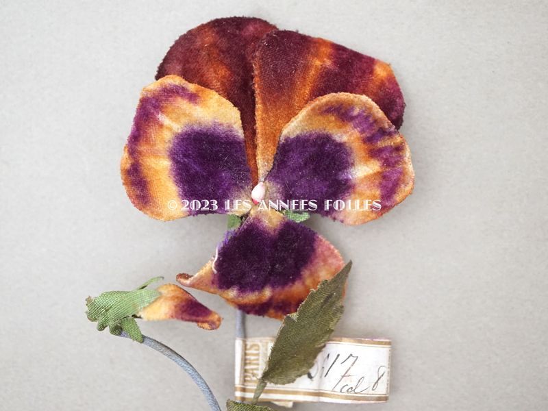 画像2: 1900年頃 未使用　アンティーク パンジーの布花 ラベル付 淡いオレンジ＆深紫 (2)