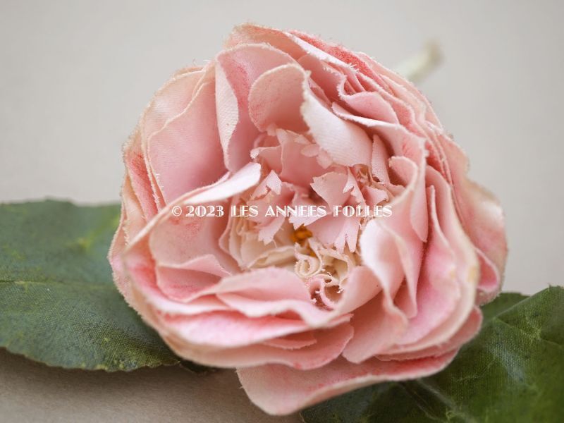 画像3: アンティーク ピンクの薔薇の布花 クウォーターロゼット咲き (3)