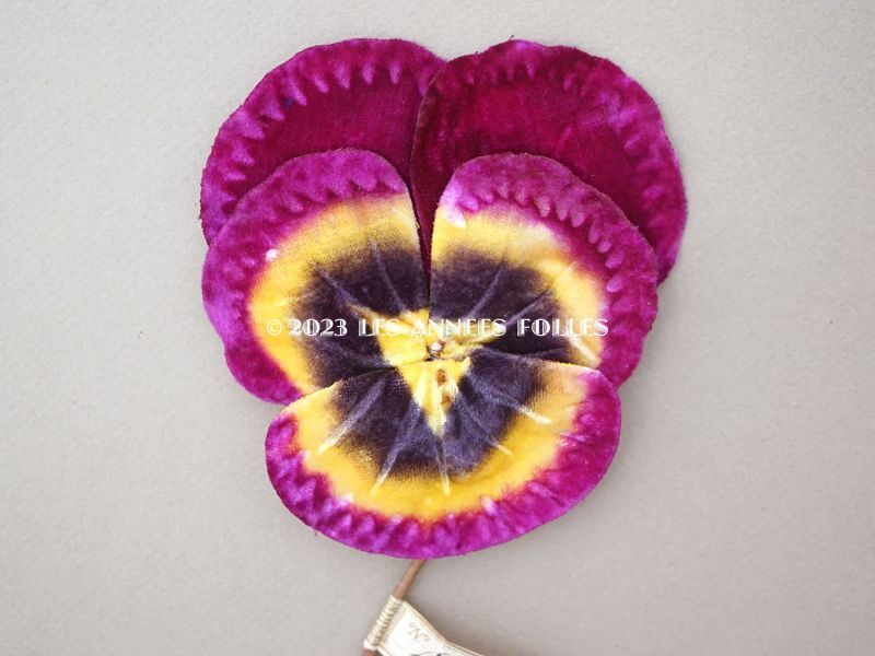 画像2: 1900年頃 未使用　アンティーク 大きなパンジーの布花 ラベル付 ダリアパープル＆深紫 (2)