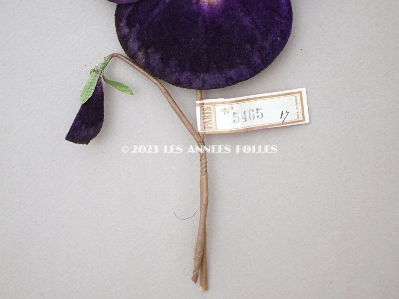 画像3: 1900年頃 未使用　アンティーク 大きなパンジーの布花 ラベル付 深紫 (3)