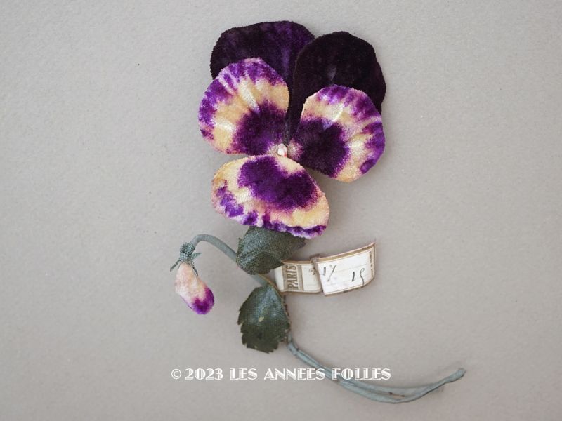 画像1: 1900年頃 未使用　アンティーク パンジーの布花 ラベル付 紫&深紫 (1)