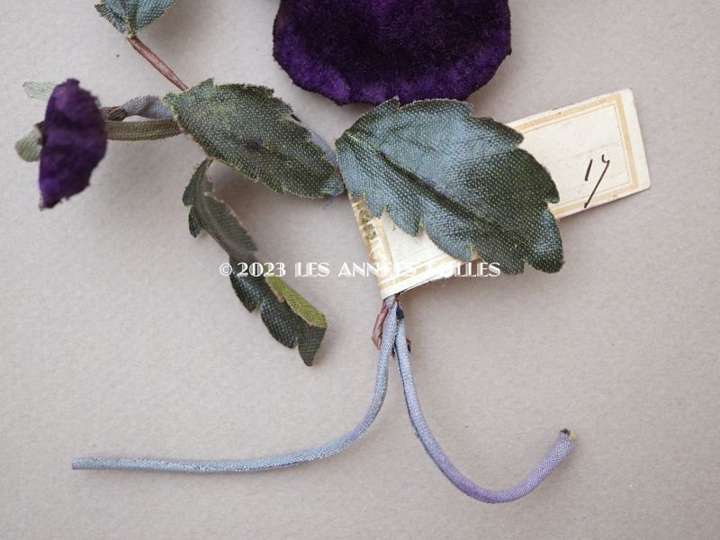 画像3: 1900年頃 未使用　アンティーク パンジーの布花 ラベル付 深紫 (3)