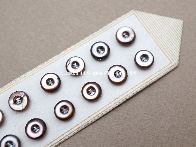 画像2: アンティーク マザーオブパール製 極小 ボタン 6.5mm 12ピース シェルボタン ブラウン＆ホワイト (2)