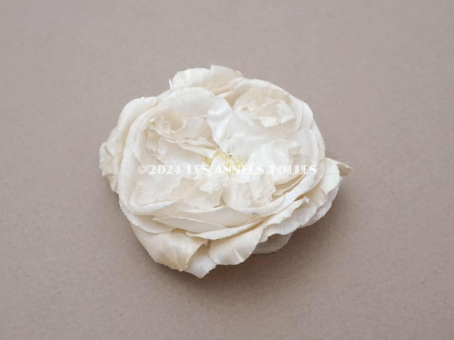 画像2: アンティーク　薔薇の布花 オフホワイト　クウォーターロゼット咲き (2)